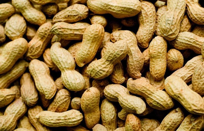 CACAUET