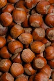 AVELLANES