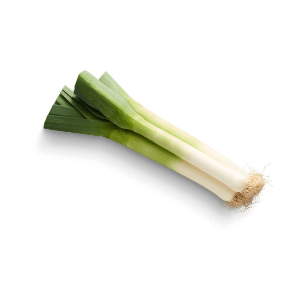 PORRO